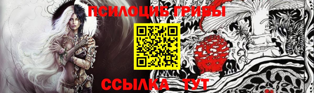 Псилоцибиновые грибы GOLDEN TEACHER Михайловск