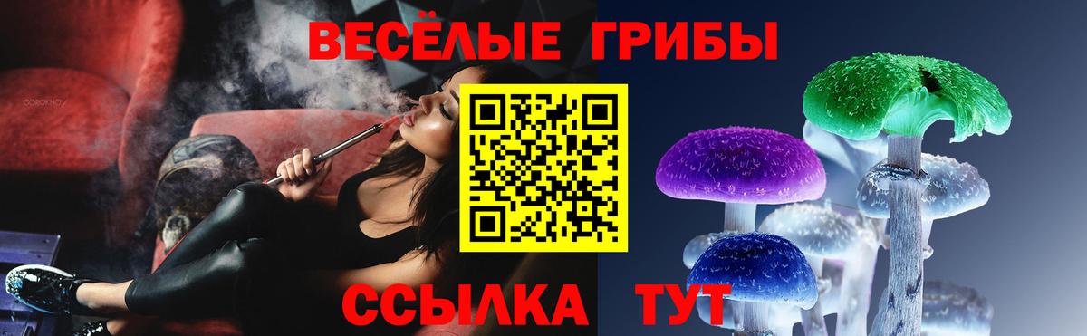 Михайловск  Псилоцибиновые грибы ЛСД  Вход с VPN 